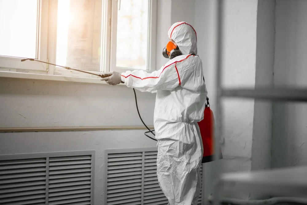 Professional mold remediation services in Boulder Creek, CA